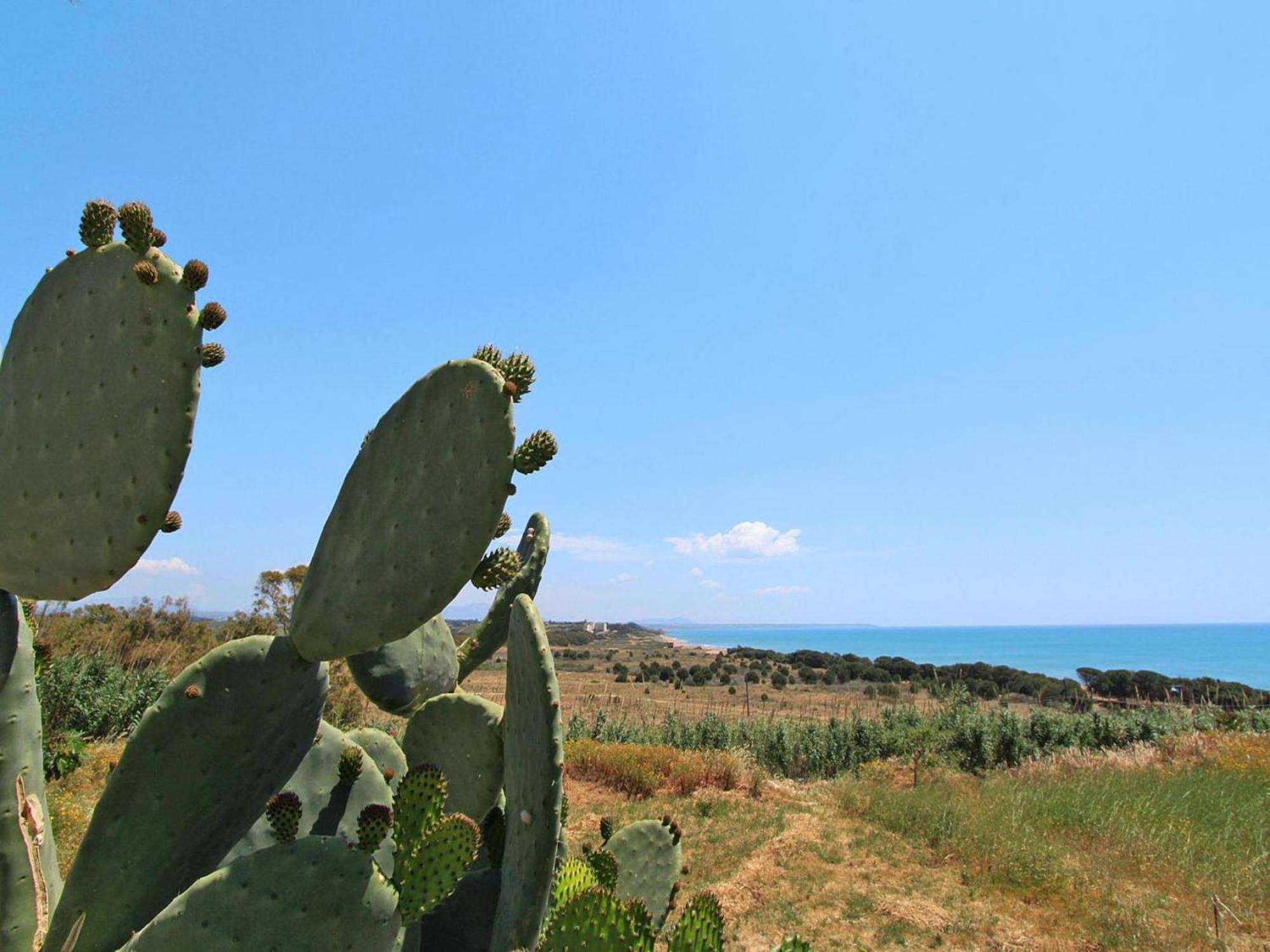 Apartment In Marinella Di Selinunte Castelvetrano 150 M From The Sea מראה חיצוני תמונה